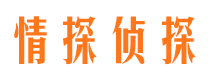 颍上侦探公司